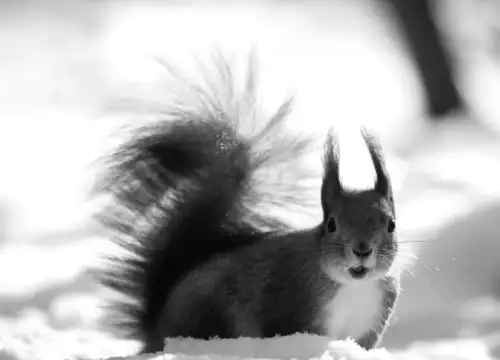 Завтра Київ сковує рекордний холод: чи готові ви до найморознішого дня тижня?