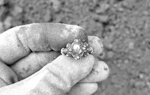 У Норвегії виявили середньовічний перстень із загадковим синім каменем, що вражає сяйвом