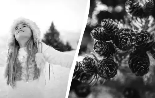 10 лютого: Яке українське свято сьогодні і як його відзначають у домівках?