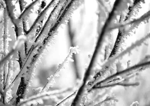 17 лютого Україну охопить сильний холод: що чекати від погоди?