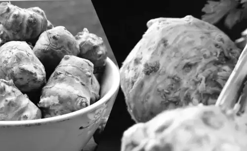 Кардіохірург розкрив п’ять овочів, здатних врятувати серце — і ви їх ігноруєте