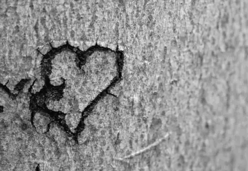 Чому ми святкуємо День закоханих 14 лютого: таємниці історії свята в Україні