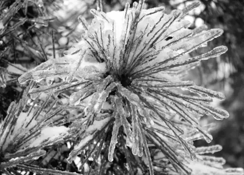 Дніпро під крижаною загрозою: оголошено І рівень небезпеки (інфографіка)