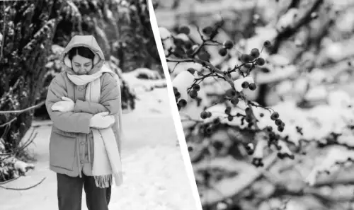 12 лютого: важливі події дня та таємниці, які краще не розкривати рідним