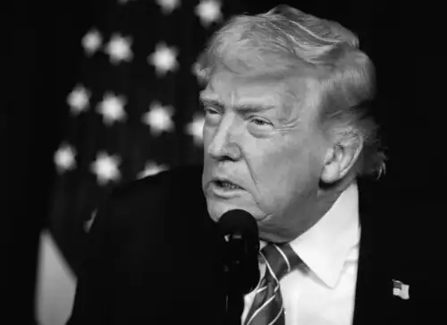 Трамп і Україна: що стоїть за ігноруванням наших інтересів у пошуках миру? Експосол розкриває деталі.