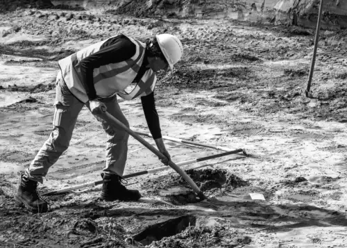 Тайвань та його таємничі гігантські пітони: що спричинило їх зникнення?