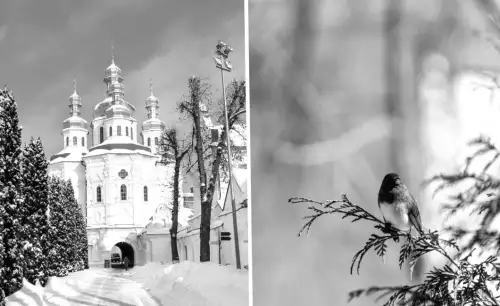 11 лютого: яке церковне свято сьогодні та що зробити, аби рік минув у достатку