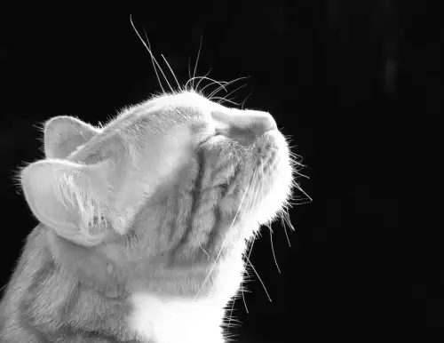 Синоптикиня розкрила день, коли Україну охопить тепла весняна хвиля