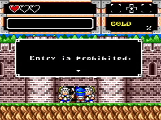WONDER BOY IN MONSTER WORLD
