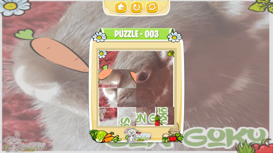 Bunny Puzzle