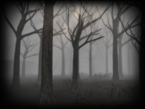 Slender Rising